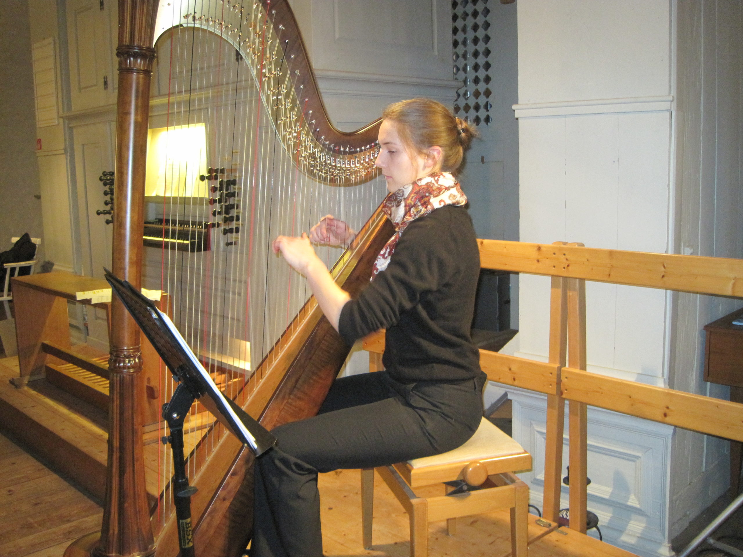 Harp at the evening service in Scharnebeck 2014